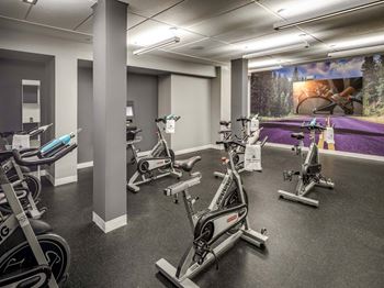 Peloton bikes